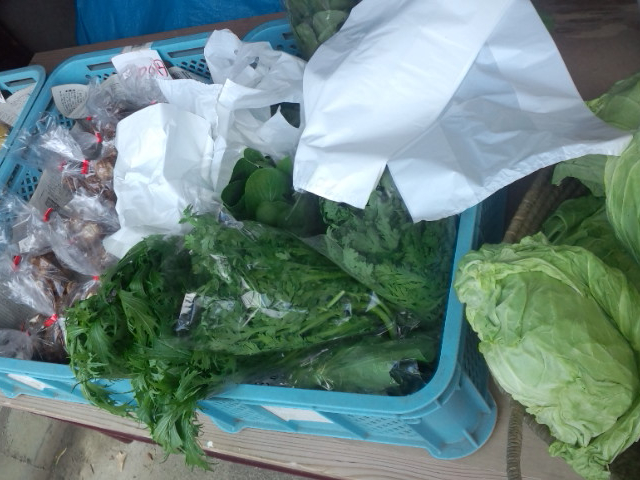 Aɂ́A~nɂ閳l̖̔؂₨ԂwĂ܂B邩͂̎̂y݁I