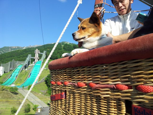 わんこも一緒に