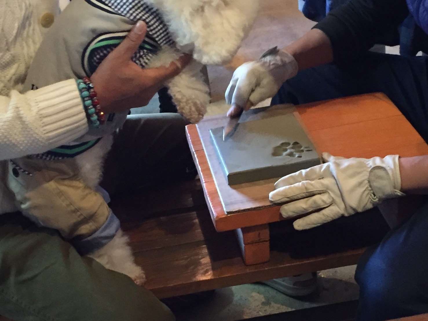 ^b``SylX^bt⏕v܂B܂A12iǉKvj邱Ƃł܂B