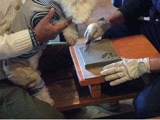 ワンタッチも手形粘土同様スタッフが補助致します。また、1枚に2足(追加料金必要)入れることもできます。