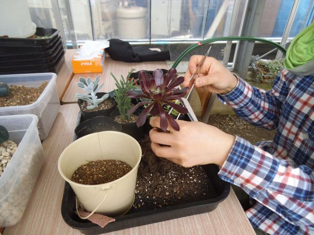 スタッフにコツを聞きながら作業していきます。質問や管理方法などもお教えいたします。