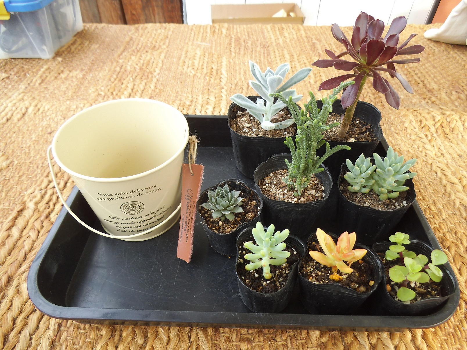 ̊񂹐A͂ȊŕcIł݂܂BȐF`IԂƂ낢I