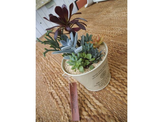 出来上がりです。コツさえつかめば誰でもできる多肉の寄せ植え。家に飾ってみてください。