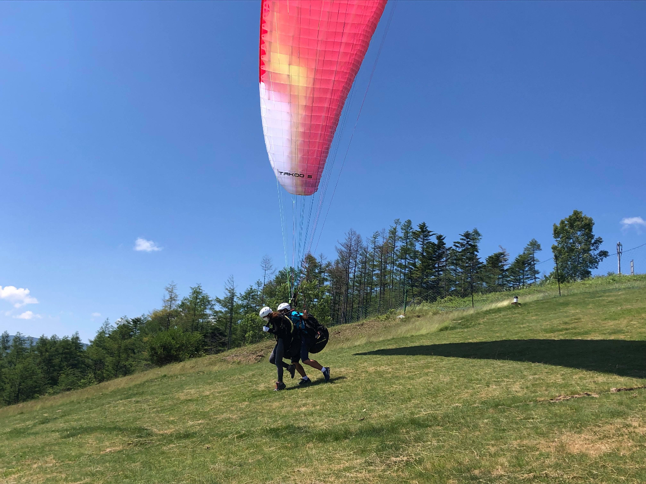 パイロットといっしょに走って離陸します♪