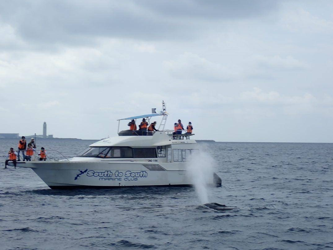 Ȃɋ߂Ō邱Ƃ͂イłi΁j