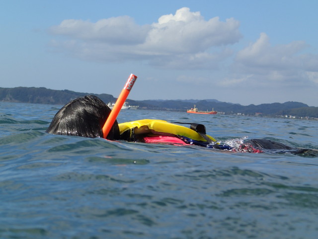 ���q�l�ł��y���߂܂�