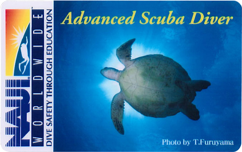 ɂXł͂̂悤ȃJ[hIׂ܂B