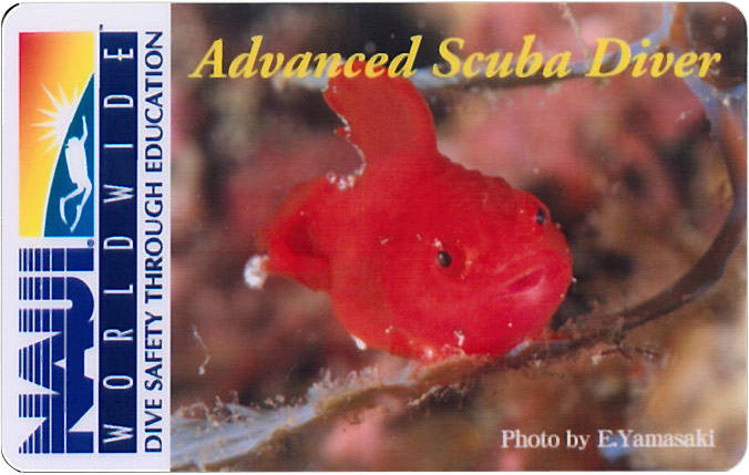 ɂXł͂̂悤ȃJ[hIׂ܂B