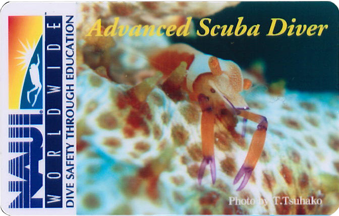 ɂXł͂̂悤ȃJ[hIׂ܂B