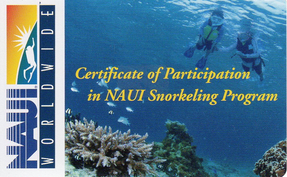 CƉႦ́HEXL_CrǑIɃ_CrOwćiNAUIj̃Xm[POvOQ؂𔭍s܂B