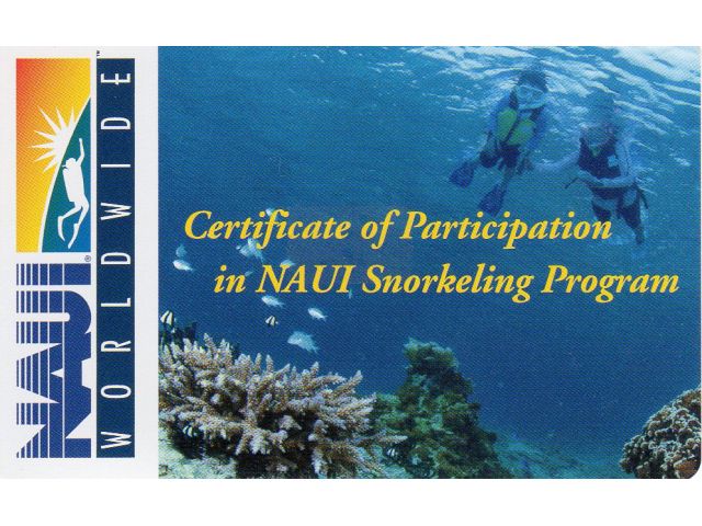 ☆★修了すると何か貰えるの?★☆・スキンダイビング体験終了後にダイビング指導団体(NAUI)のスノーケリングプログラム参加証を発行します。