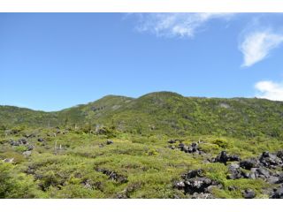 坪庭から見る北横岳。