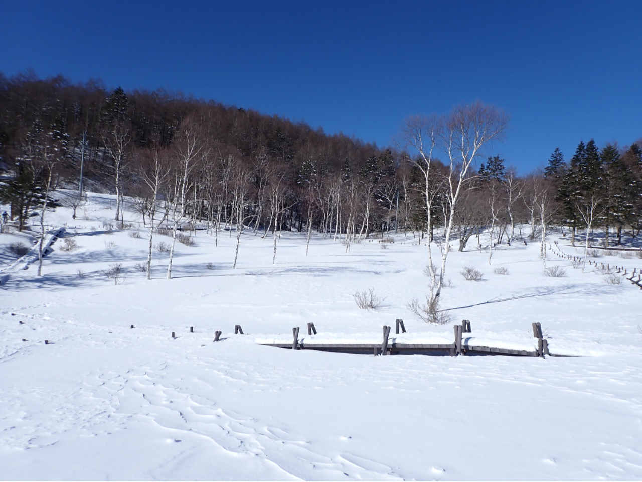 Ɠ}łBʐɕĂ̎Ƃ͑SႢ܂B