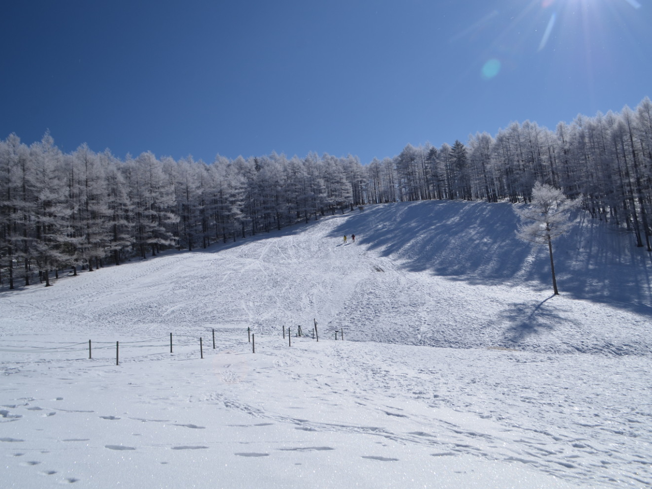 猩ΖʁB͉Ă̓XYQnłB