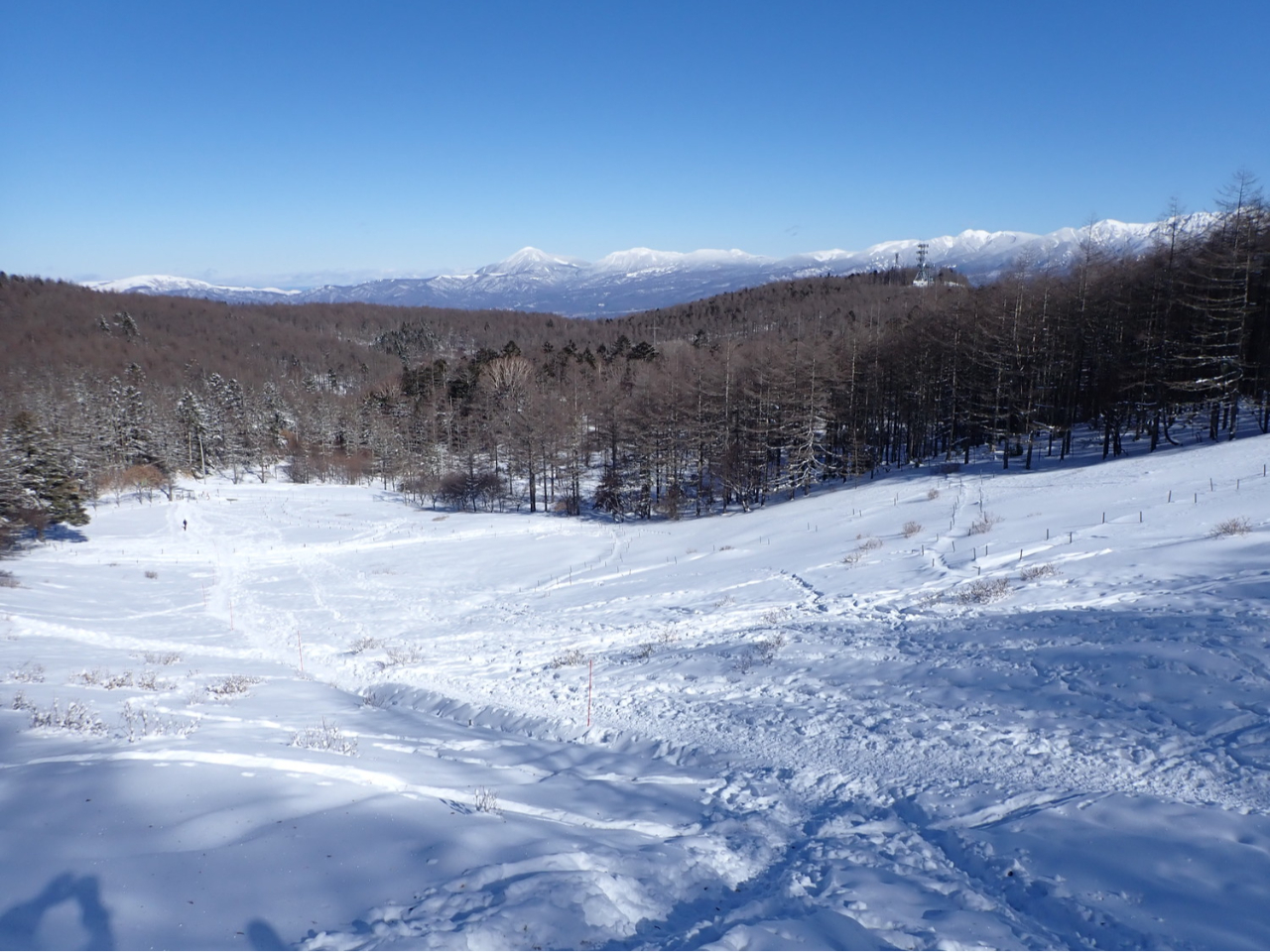 Ԕ̎Ζʂ̏㕔ɂƁAx▶􂪌Ă܂B