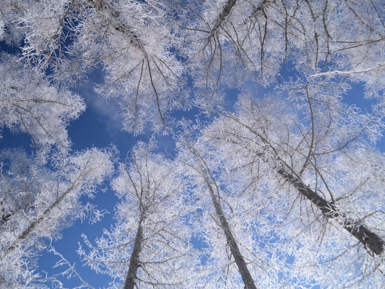 r̎ёсBɂ͂ȌiF邱Ƃł܂B