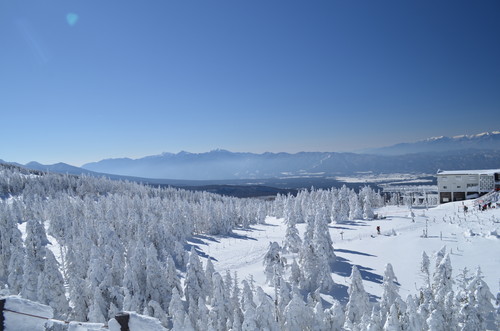 初めての雪山 八ヶ岳北横岳登山ツアー Yatsuトレッククラブ じゃらん遊び体験