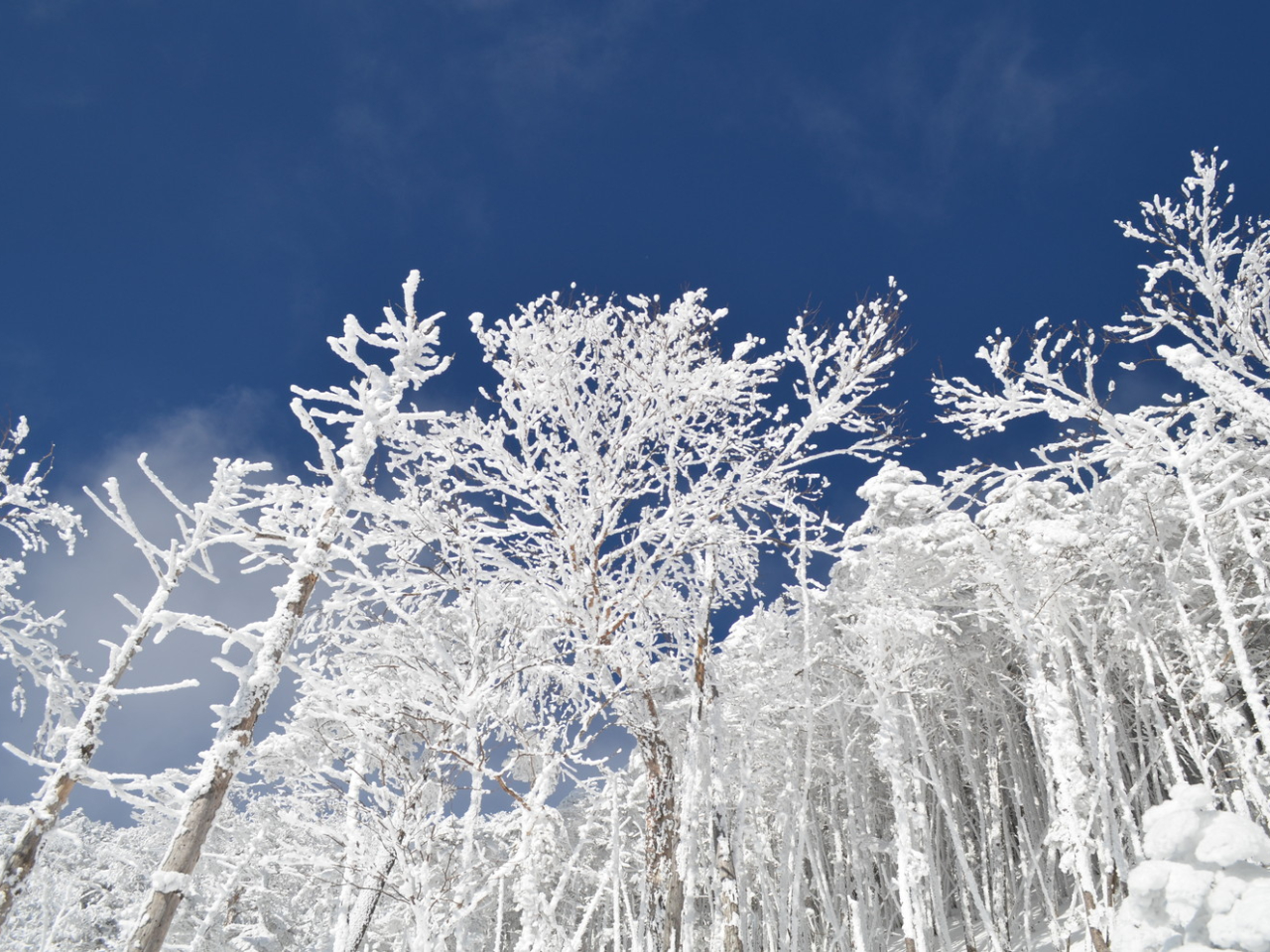 ͐^ɕAǂʂ̐Eɗ悤łB