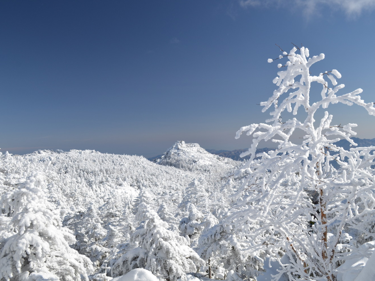 jt̐X̐ɂ͖kx̂ƂȂɂObx܂B