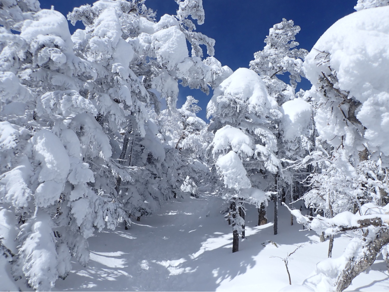 ȐOBƐ^Ȗ؁X̃RgXgĂłB