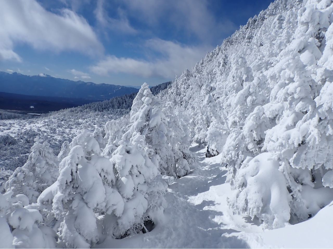 iFȂ烍[vEFCwւƉ܂B