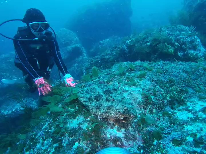 �~�J�����Ɍ���鋐��q����