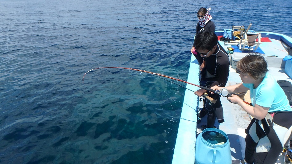 �x�����Ԃɂ͋��ނ��X�L���_�C�u