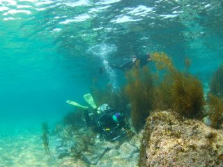 講習は鐘崎にて。