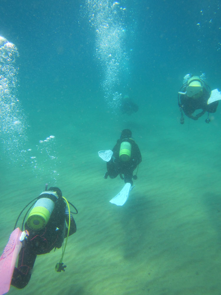 uKI邱ɂ͊C̒Rɉj܂B