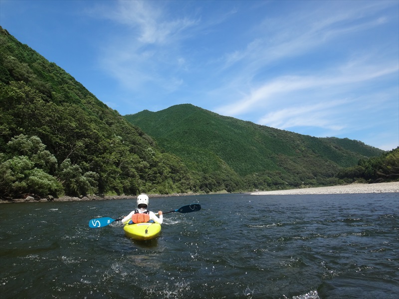 �l�H�����قƂ�ǌ����Ȃ��厩�R�I