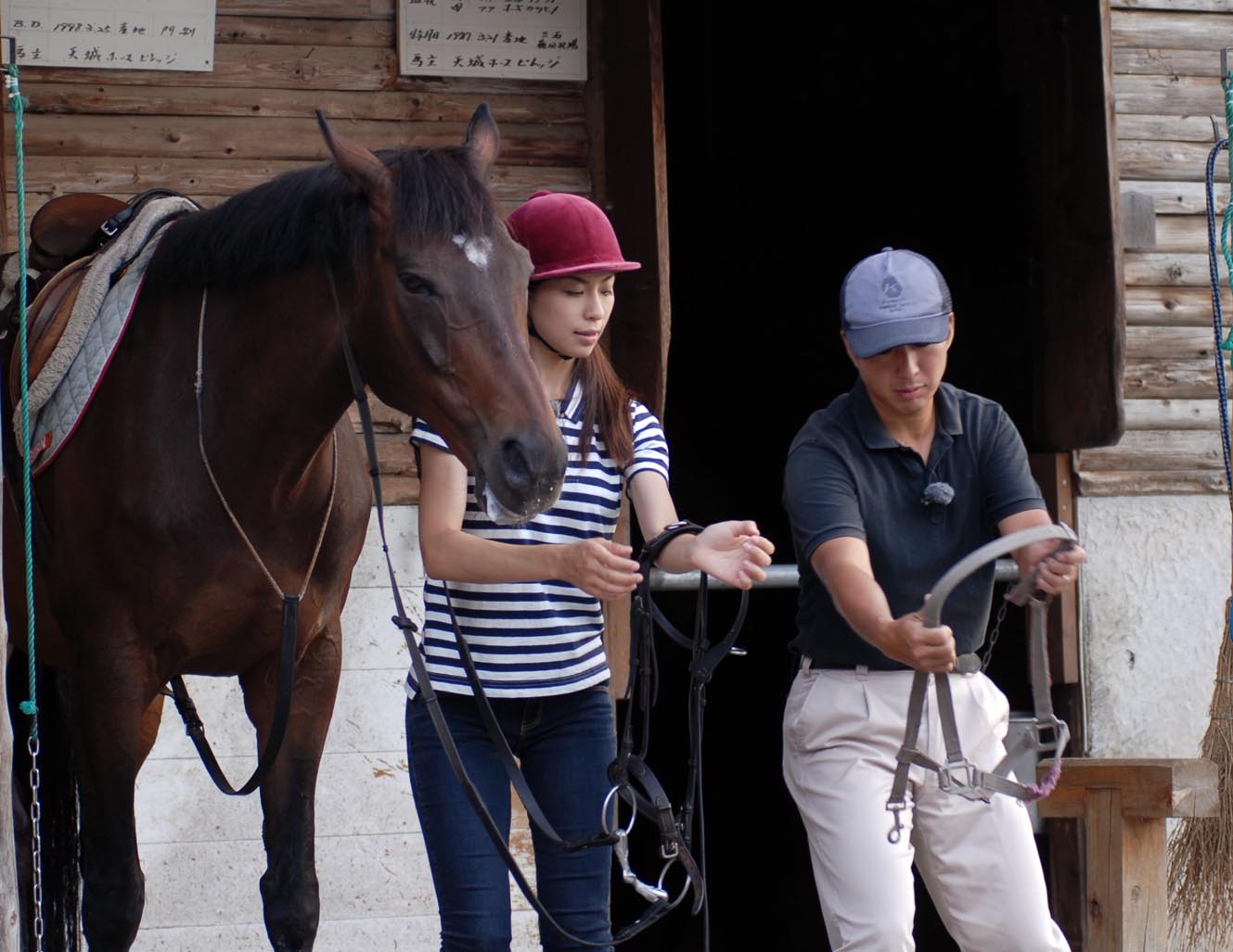 Ԃɗ]TĂ꒸΁An₨̎w܂̂ŁA\̍ۂɂ炩߂₢킹B