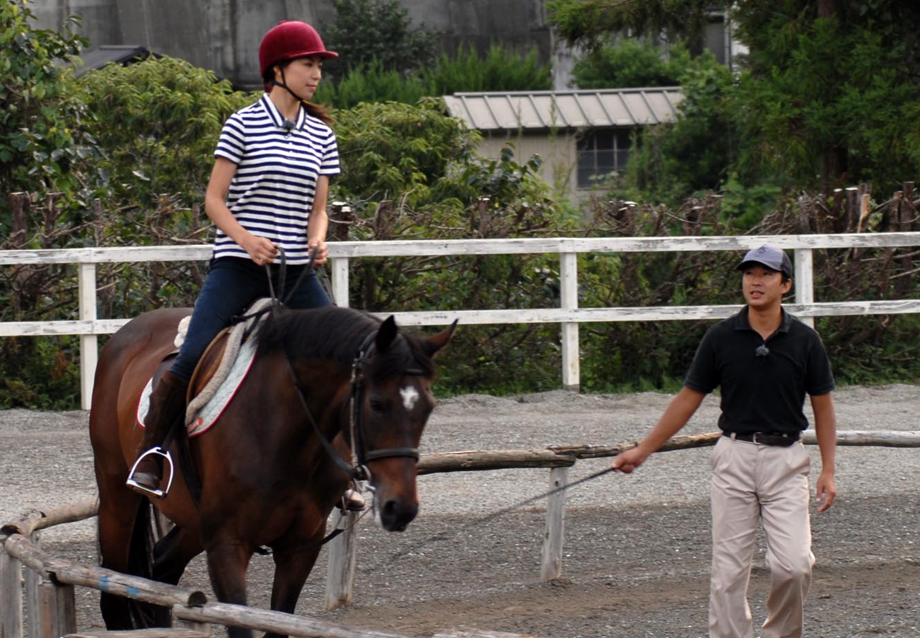 ǂȂł{̏nɐG邱Ƃł~̒Ⴓ́unNu@Vz[XrbWvłB