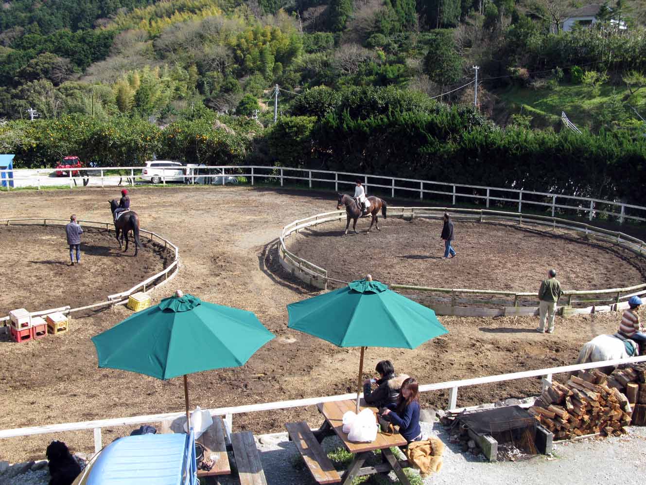 SJȃ}c[}bXŁAS҂㋉҂܂
LNw̕yނƂł܂B