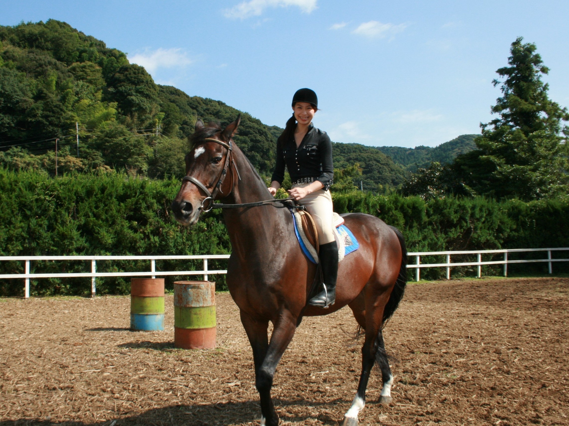 NuƎ̉₷bXp^[ɂāAƒJɎw܂B