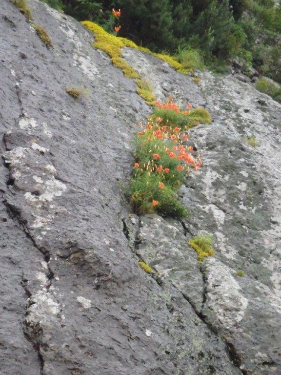 Vɂ͑ǂɂ́uRIjv炫܂BǂɂłԂǁAC݂̊ɍ炭̂łƂĂꂢI