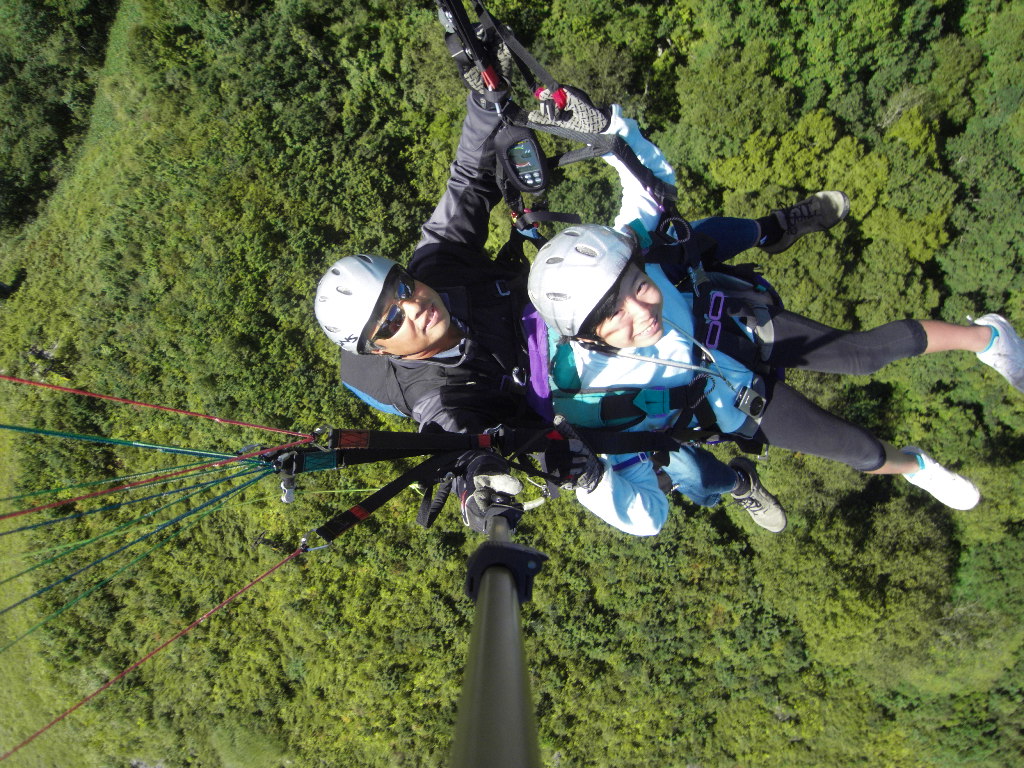 飛んでるときはこんな感じ