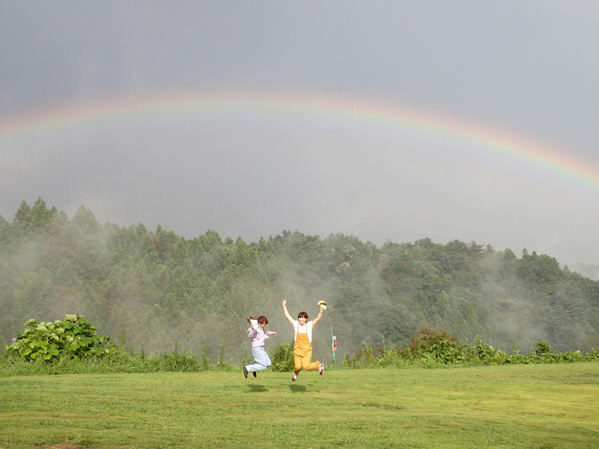 ͊yIIBȃpOC_[܂Ɍ܂B