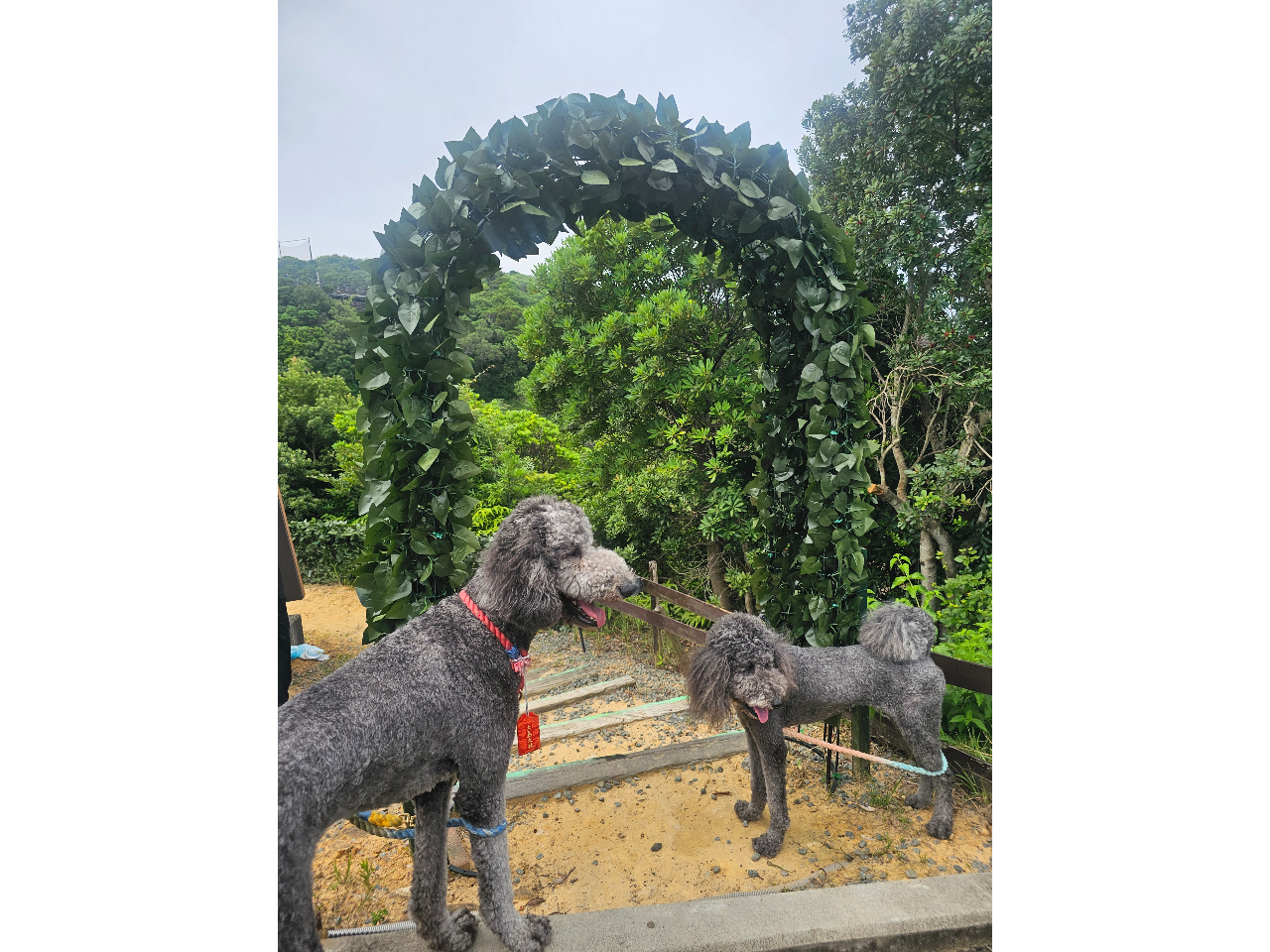 �v���C�x�[�g�h�b�O���������݂���Ă���A�m�[���[�h�ň��S���ă��������ƈꏏ��BBQ���y���߂܂��B