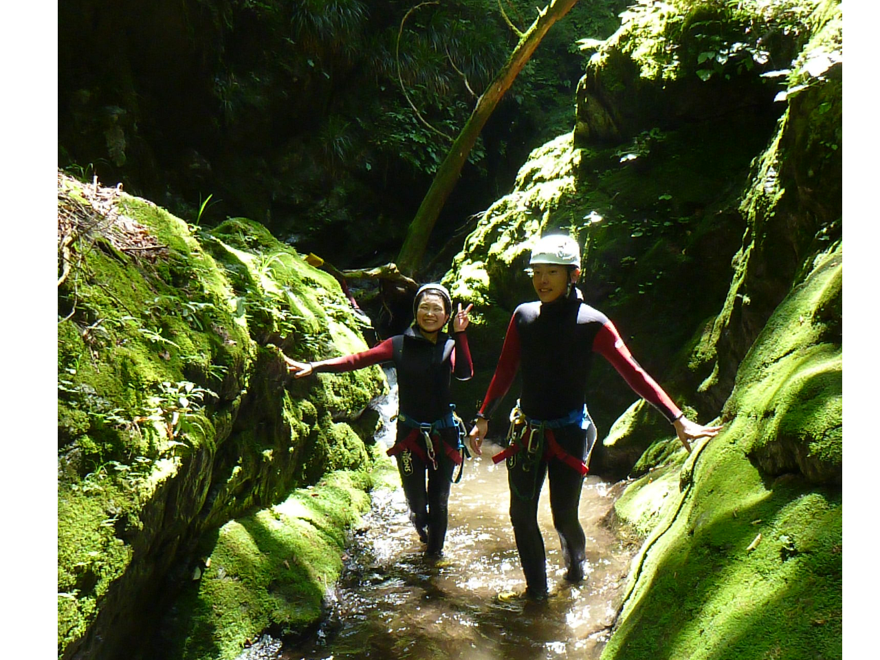 �k�J�̒��Ɍ����������ސ_��I�ȕ��͋C�Ń����b�N�X�`