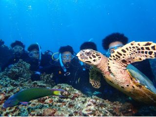 ウミガメと記念写真!!