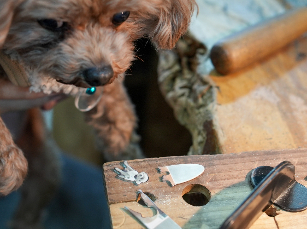 �u�y�b�g�ƈꏏ�Ɏv���o���c�������v����ȕ��ɂ҂�����̎�Â���̌��ł��I