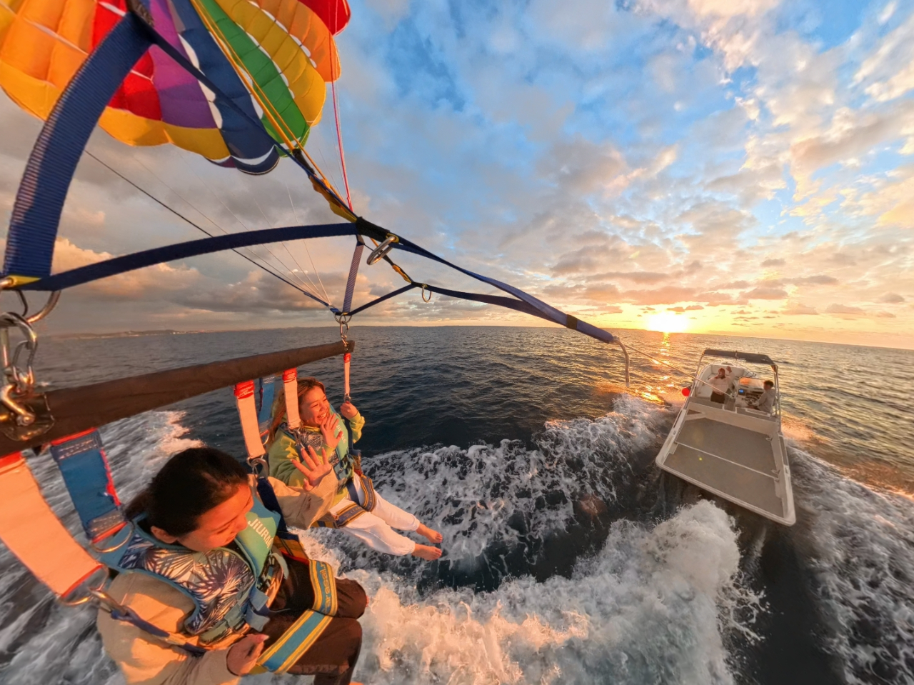 D󒆂ɕuԂ͂ƂĂeVオ܂I