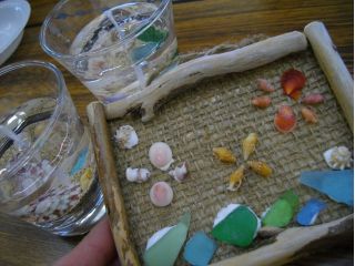 流木の枠に貝がらは、ベストマッチング