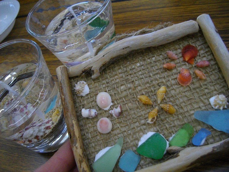 流木の枠に貝がらは、ベストマッチング