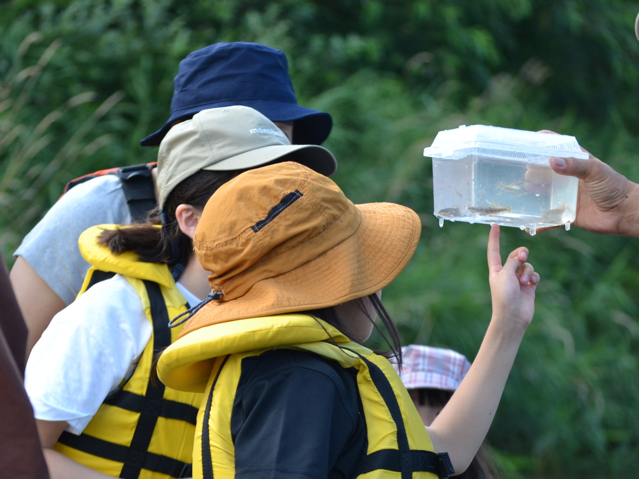 �l���������Ȃ�Ė��O���ȁ`�H�c�A�[��ɐ�T���}�b�v�����炦����