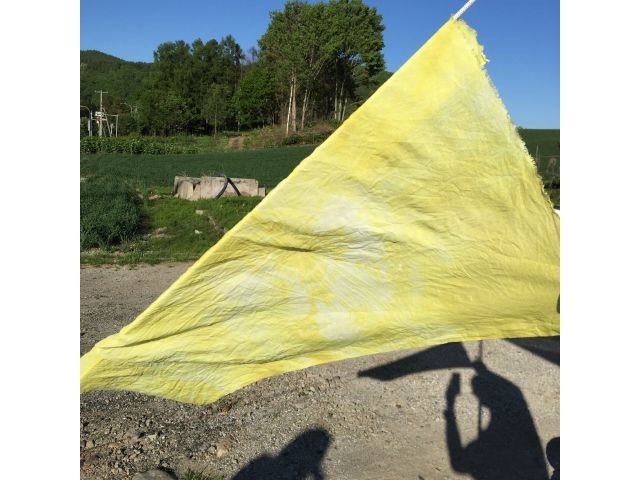 世界に1つだけの模様を作ってみよう!