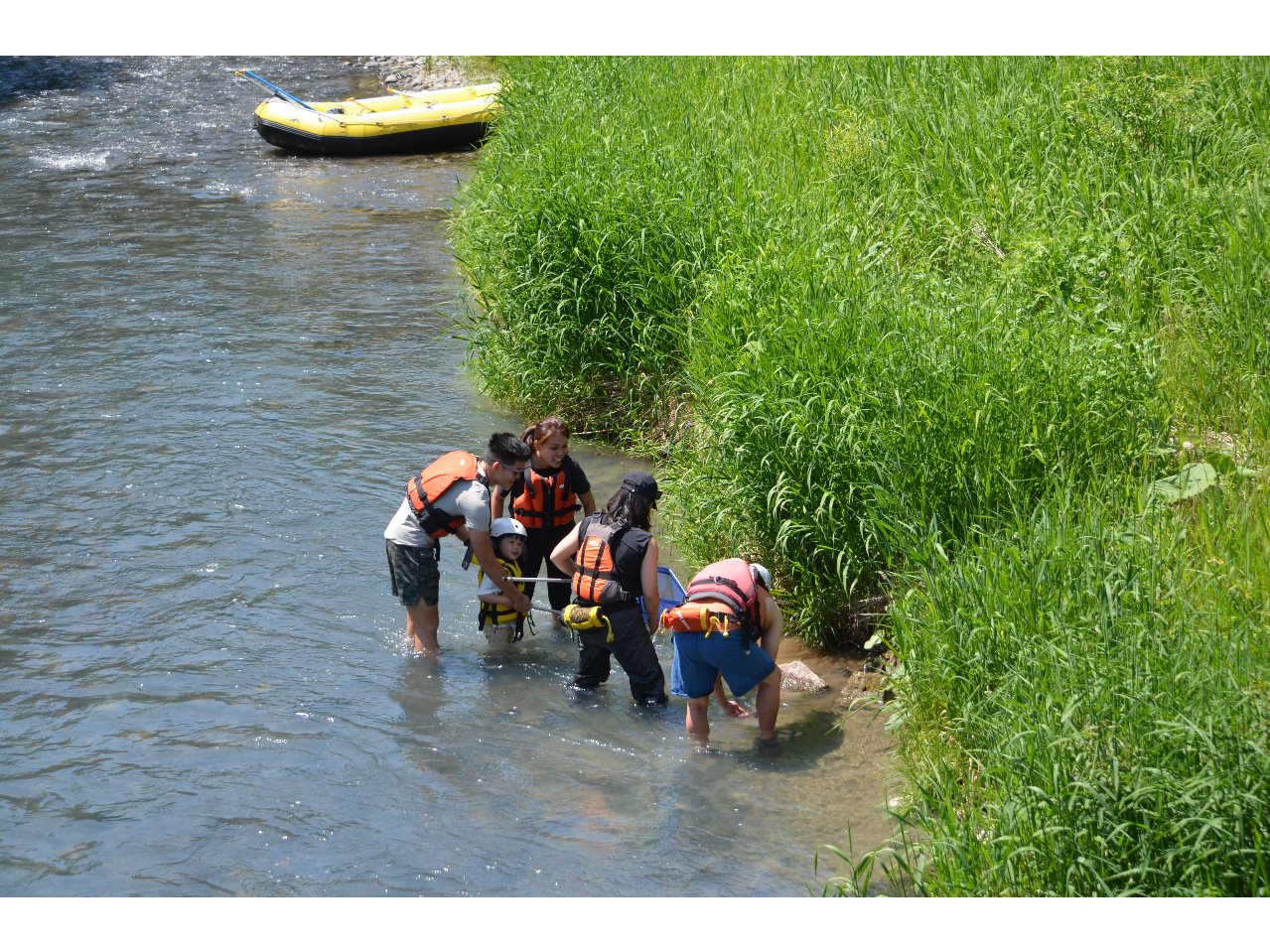 �݂�ȂŐ������T����