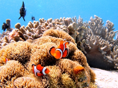 FƂǂ̃TSʁyɃj̐E֍s܂I