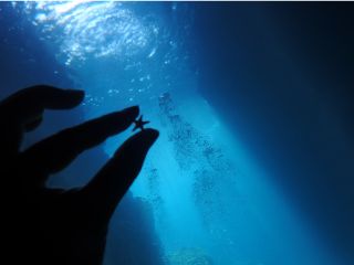 おひとり様も団体の方も大歓迎!陸では味わえない興奮を!!