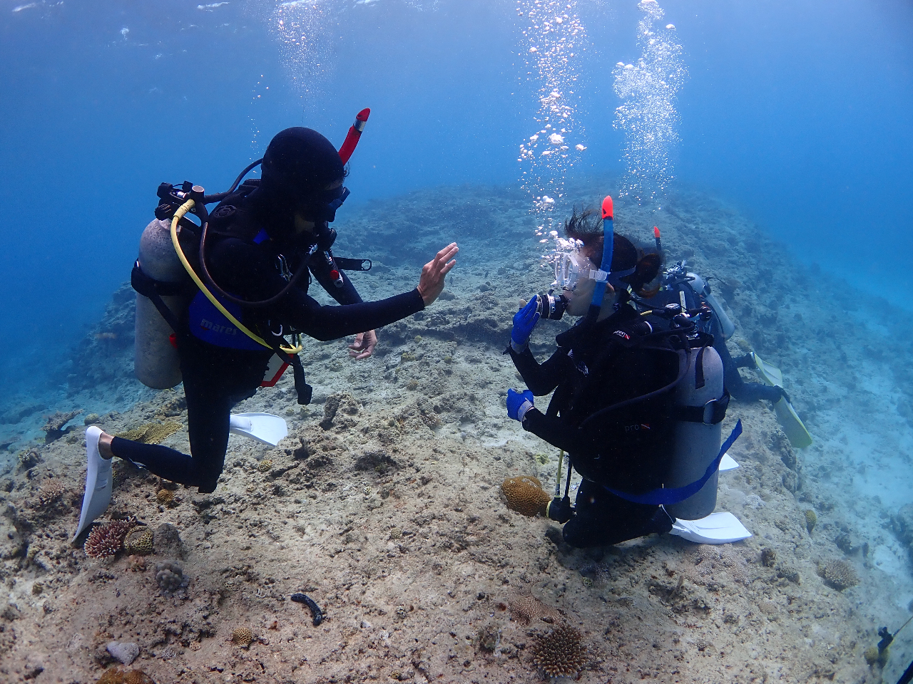 �C���X�g���N�^�[���F�l�̈��S���ŗD��ɍu�K��i�߂Ă����܂��̂ň��S���S�I�I